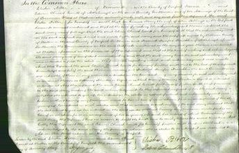 Court of Common Pleas - Mary Stebbings-Original Ancestry