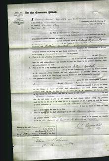 Court of Common Pleas - Harriet Marcia Preston-Original Ancestry