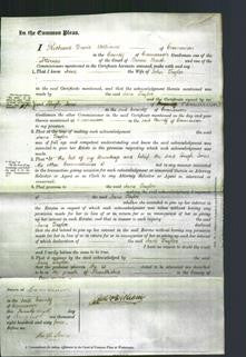 Court of Common Pleas - Jane Taylor-Original Ancestry