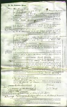 Court of Common Pleas - Sarah Gooddy David-Original Ancestry