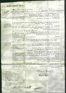 Court of Common Pleas - Anne Pritchard-Original Ancestry