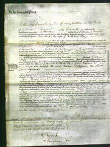 Court of Common Pleas - Caroline Tagg-Original Ancestry