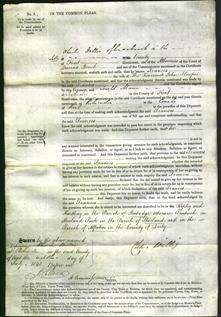 Court of Common Pleas - Frances Hooper-Original Ancestry