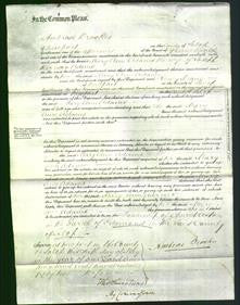 Court of Common Pleas - Mary Ann Adams-Original Ancestry