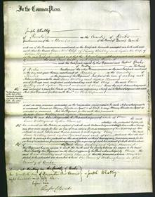 Court of Common Pleas - Jane Widley and Lydia Howard-Original Ancestry