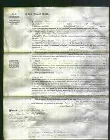 Court of Common Pleas - Frances Amphlett-Original Ancestry