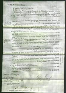 Court of Common Pleas - Mary Owen-Original Ancestry