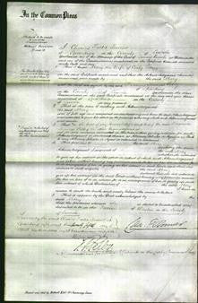 Court of Common Pleas - Mary Tagg-Original Ancestry