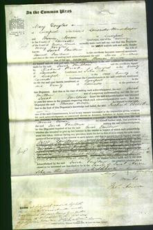 Court of Common Pleas - Sarah Faulkner-Original Ancestry