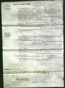 Court of Common Pleas - Jane Cotgreave-Original Ancestry