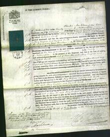 Court of Common Pleas - Mary Simpson and Elizabeth Smith-Original Ancestry