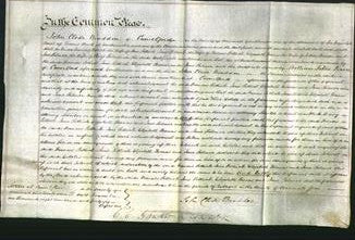 Court of Common Pleas - Frances Pethick, Jane Pethick, Elizabeth Thomas and Jane Palmer-Original Ancestry