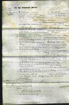 Court of Common Pleas - Mary Seniscal-Original Ancestry