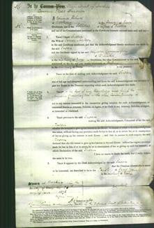 Court of Common Pleas - Susan Metson-Original Ancestry