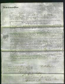 Court of Common Pleas - Susannah Barber-Original Ancestry