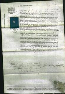 Court of Common Pleas - Catherine Dubar Bailey-Original Ancestry