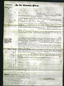 Court of Common Pleas - Ellen Felton Fielding-Original Ancestry