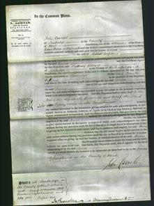 Court of Common Pleas - Anna Hopkins-Original Ancestry