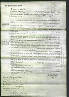 Court of Common Pleas - Anna Griffiths-Original Ancestry