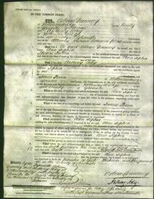 Court of Common Pleas - Ann Sophia Pullin-Original Ancestry