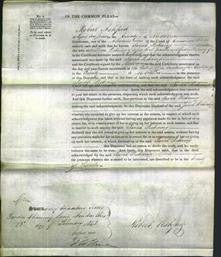 Court of Common Pleas - Sarah Pickering-Original Ancestry