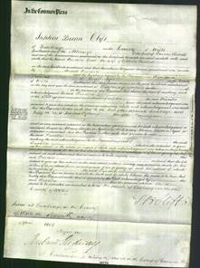 Court of Common Pleas - Priscilla Grace Fackrell-Original Ancestry