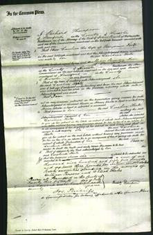 Court of Common Pleas - Caroline Leete-Original Ancestry