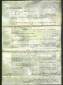 Court of Common Pleas - Mary Anne Bushell-Original Ancestry