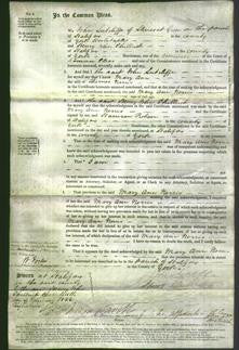 Court of Common Pleas - Mary Ann Norris-Original Ancestry