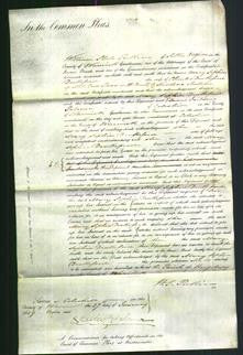 Court of Common Pleas - Mary Sophia Drakeford-Original Ancestry