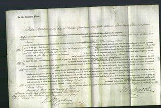 Court of Common Pleas - Mary Jones-Original Ancestry