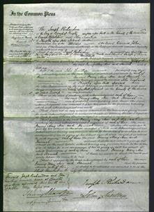 Court of Common Pleas - Fanny Mary Ann Roxby and Hannah Warter-Original Ancestry