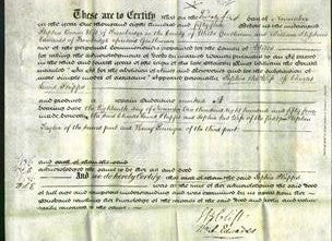 Deed by Married Women - Sophia Phipps-Original Ancestry