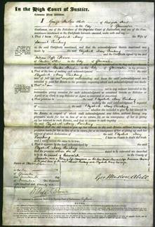 Court of Common Pleas - ElizabethMary Pinching-Original Ancestry