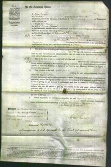 Court of Common Pleas - Agnes Craven-Original Ancestry