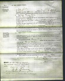Court of Common Pleas - Fanny Pooley-Original Ancestry