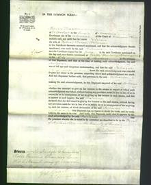Court of Common Pleas - Juliana Holmes-Original Ancestry