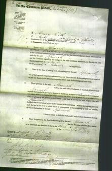 Court of Common Pleas - Hannah Hogg