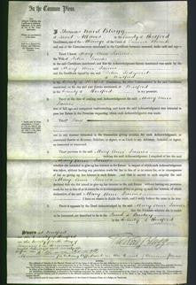 Court of Common Pleas - Mary Ann James-Original Ancestry