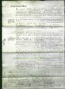 Court of Common Pleas - Isabella Armstrong-Original Ancestry