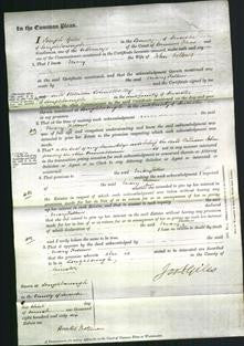 Court of Common Pleas - Mary Follows-Original Ancestry