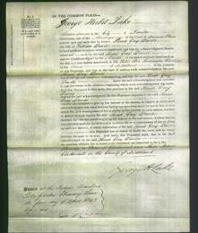 Court of Common Pleas - Sarah Gray Davies-Original Ancestry