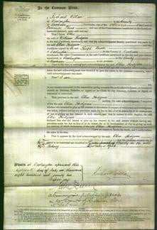 Court of Common Pleas - Ellen Hodgson