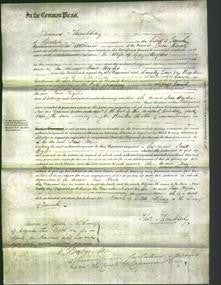 Court of Common Pleas - Jane Hoyles-Original Ancestry