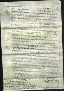 Court of Common Pleas - Mary Susanna Preston-Original Ancestry