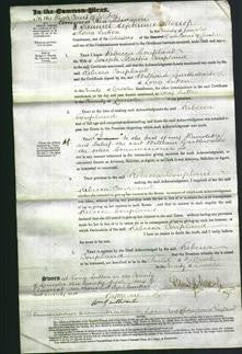 Court of Common Pleas - Rebecca Coupland-Original Ancestry