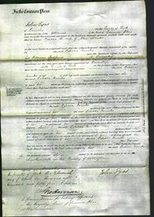 Court of Common Pleas - Rebecca Monks-Original Ancestry