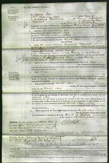 Court of Common Pleas - Sarah Ann Johns-Original Ancestry