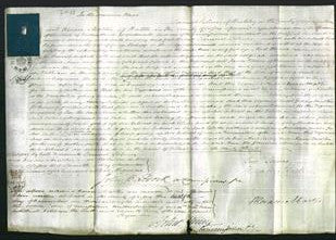 Court of Common Pleas - Anne Bishopp-Original Ancestry