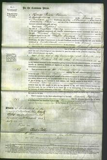 Court of Common Pleas - Hannah Jopling-Original Ancestry